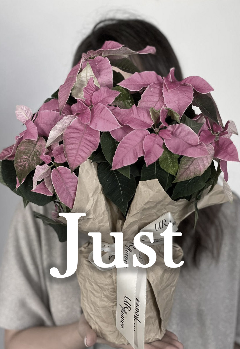 You are Just Flower
