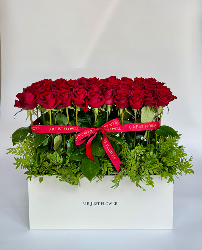 BOX-RED