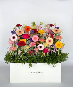 A Unique Gift