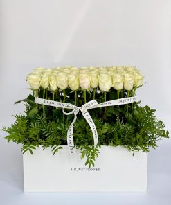 The box of beauty