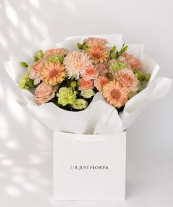 Peach Elegance