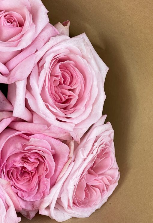 Ohara Pink U R Just Flower