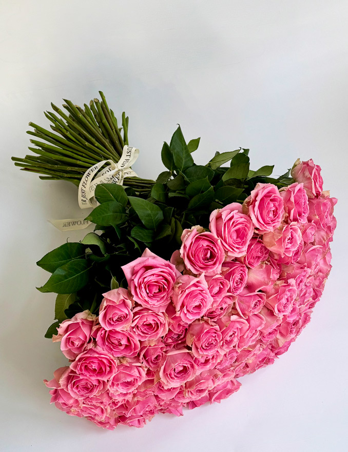 image1-(10)