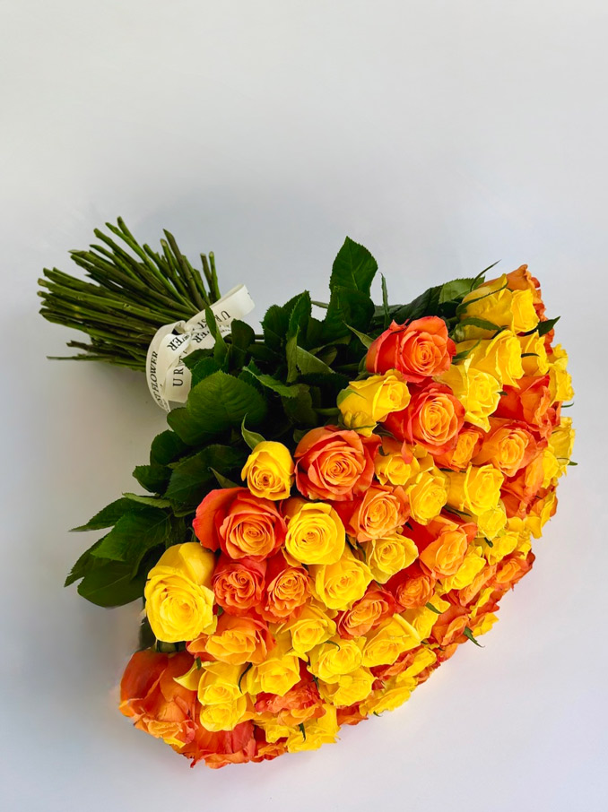 image3-(9)