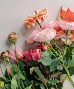 Midium Weekly Subscription