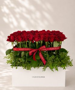 Velvet Red Roses