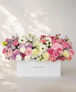 Pastel Harmony