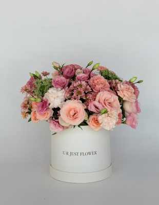 Blush Poetry